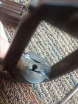 Arminius velo dog - 10 of 11