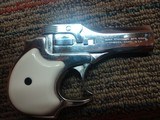 High Standard DM-101 22 mag. Nickel - 3 of 10