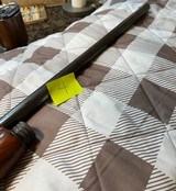 4 Shotgun Package - All Humpbacks - Browning/Remington/Winchester/Savage Arms - 10 of 14