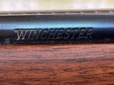 Winchester, Model 70 XRT, Sporter Varmit, 22-250, Rifle - 12 of 15