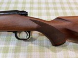 Winchester, Model 70 XRT, Sporter Varmit, 22-250, Rifle - 8 of 15
