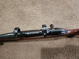 Colt Sauer 308 Winchester - 11 of 15