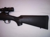 Savage 11 .243 with AccuTrigger & Nikon 3X9 BDC Scope - 4 of 9