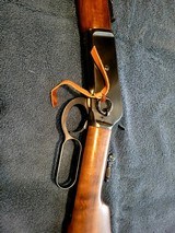 Unfired Browning model 1886 saddle ring carbine .45-70 lever action rifle - 8 of 15