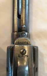 Colt Single Action Army, .41 Long Colt, Late Black Powder 1895 - 9 of 13