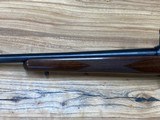 CZ 527 Varmint 17 Hornet - 10 of 12