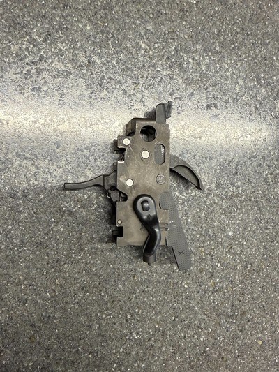 HK PSG1 Trigger Group