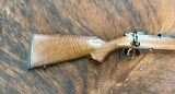 CZ 527 American in 17 Hornet - NIB - 6 of 7