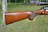 Winchester Model 70 Super Grade .270 Win. Pre-64 Made in 1950 - 5 of 15