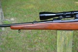 Winchester Model 70 Pre-64 .30-06 Made in 1956 - 11 of 15
