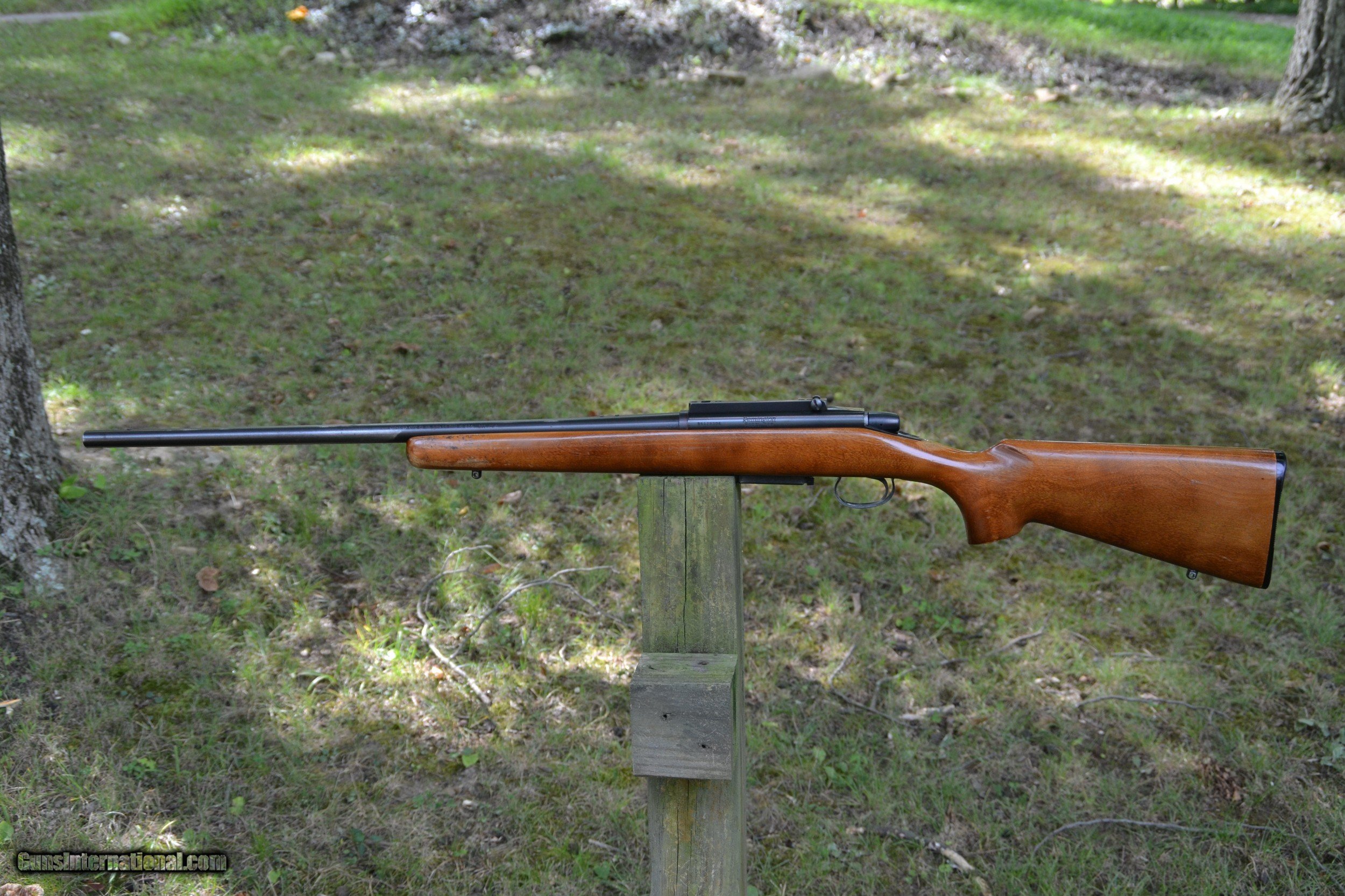 Remington 788 in .223