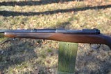 Winchester Model 70 Made in 1950 - 14 of 15