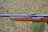 Winchester Model 77 Semi-Auto .22 LR - 14 of 15