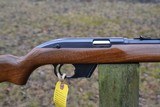 Winchester Model 77 Semi-Auto .22 LR - 9 of 15