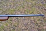 Winchester Model 77 Semi-Auto .22 LR - 11 of 15