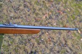 Winchester Model 77 Semi-Auto .22 LR - 13 of 15