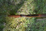 Kimber Of Oregon 82 S Series .22 LR - Image 14 of 14