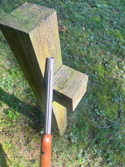 Kimber of America 82-C Stainless Varmint .22 LR - Image 12 of 13