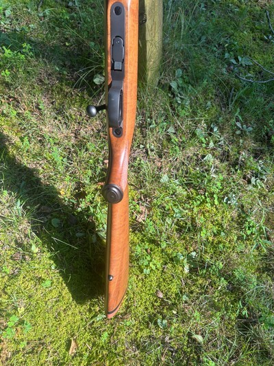 Kimber of America 82-C Stainless Varmint .22 LR - Image 9 of 13