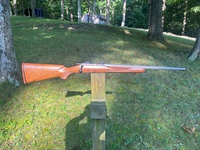 Kimber of America 82-C Stainless Varmint .22 LR - Image 1 of 13
