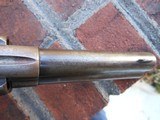 Colt SAA 4.5 inch 41 lettered to Austin Texas in 1895 - 8 of 10