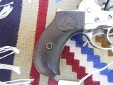 Colt Thunderer 1882 Nickel - 7 of 7