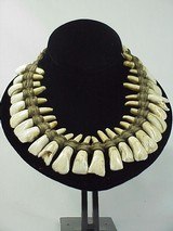 Native American BUFFALO TEETH NECKLACE With One Buckeye - 1 of 2