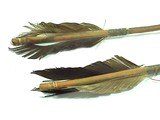 Native American PLAINS INDIAN CHILD'S BOW & ARROWS - 5 of 6