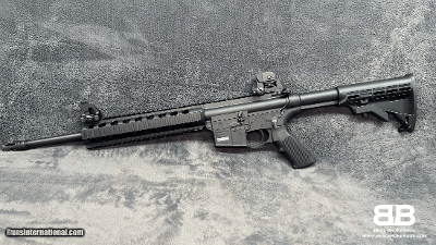 Smith and Wesson - M&P 15-22 - .22lr - 16