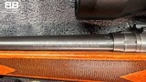 Savage - 110 - .243 Win - 22