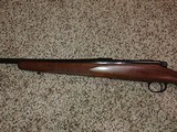 Remington model 700 Classic .257 Roberts - 7 of 13