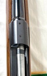 Winchester Pre 64 Model 70 243 FWT NIB - 10 of 12