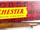 Winchester Model 70 Pre 64 300 Win Mag NIB! - 12 of 16