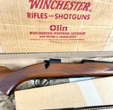 Winchester Model 70 Pre 64 264 NIB! - 2 of 14