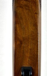 Ruger 77 250 Savage NIB Rare! - 7 of 15