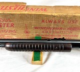Winchester 62 Short Only Gallery Gun NIB - 6 of 19