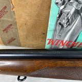 Winchester Model 70 22 Hornet Carbine 99% NIB - 3 of 16