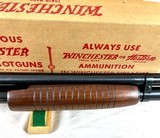 Winchester Model 12 Riot Gun NIB All Paperwork - 16 of 17