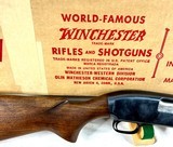 Winchester Model 12 Riot Gun NIB All Paperwork - 4 of 17