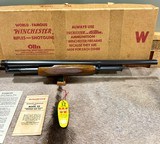 Winchester Model 12 Solid Rib Skeet NIB Killer Wood - 17 of 19