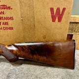 Winchester Model 12 Solid Rib Skeet NIB Killer Wood - 9 of 19