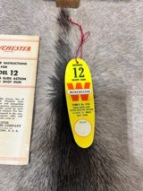 Winchester Model 12 Solid Rib Skeet NIB Killer Wood - 5 of 19