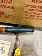 Winchester Model 12 Solid Rib Skeet NIB Killer Wood - 8 of 19