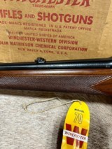 Winchester Model 70 Pre 64 243 FWT NIB 1955 - 10 of 11