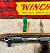 Winchester Pre 64 Model 70 300 Win Mag NIB - 6 of 18