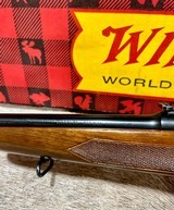 Winchester Pre 64 Model 70 300 Win Mag NIB - 11 of 18