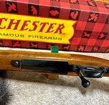Winchester Pre 64 Model 70 300 Win Mag NIB - 15 of 18