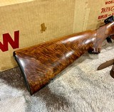 Winchester Pre 64 Model 70 22 Hornet Super Grade NIB 3xx Wood! - 5 of 20