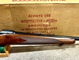 Winchester Model 70 243 FWT NIB 1957 - 5 of 14