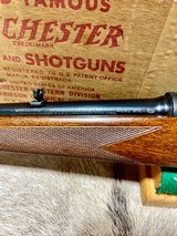 Winchester Model 70 243 FWT NIB 1957 - 10 of 14
